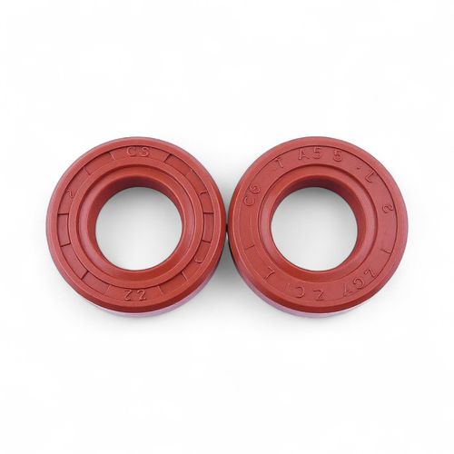 Kit Retentor para Roçadeira FS55 – Jogo com 20 Peças